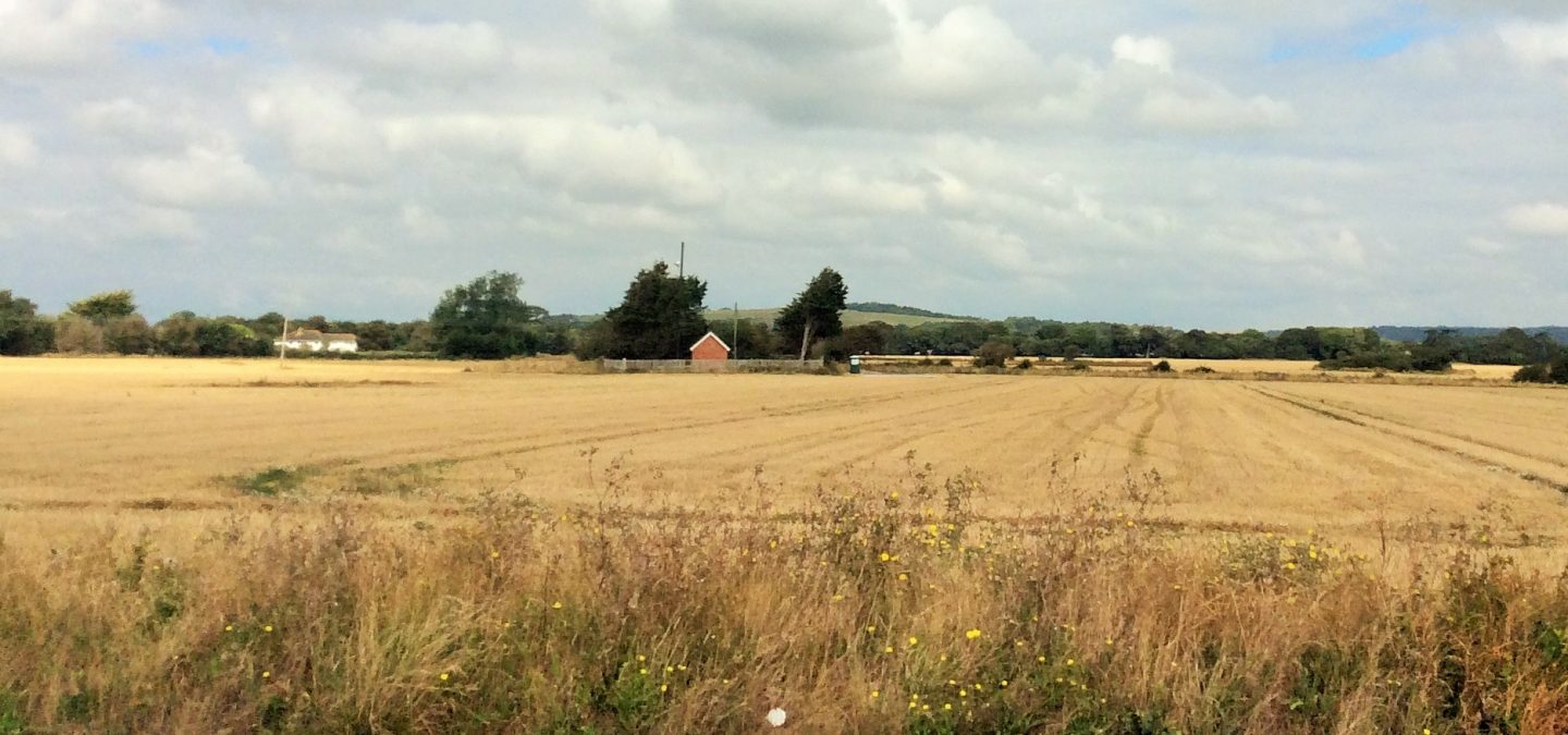 A recently harvested wheat field